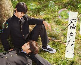 上海seo优化免费推广软件